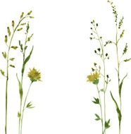 Silhouettes of flowers and grass N84