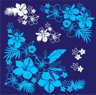 picture of Hibiscus N43