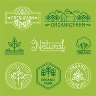 Vector agriculture and organic farm line logos N2