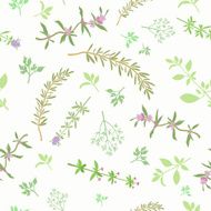 Seamless Pattern With Aromatic Herbs