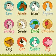 farm animal heads isolated N4