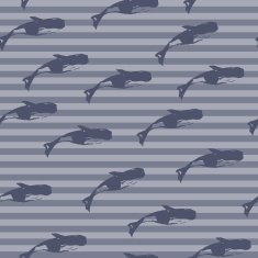 whale pattern N6
