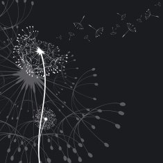 Abstract dandelion in the wind
