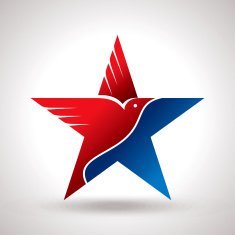 Amrical flag and eagle N2