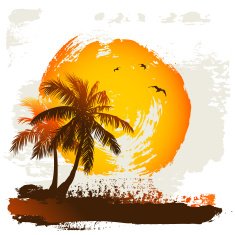 Palm tree silhouettes at sunset N2