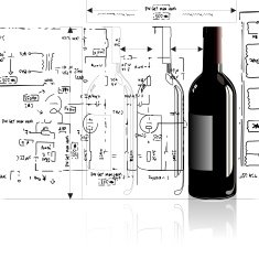 technical wine outline drawing diagram design