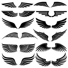Wings Elements for design