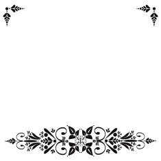 Floral ornament border N4
