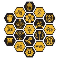 Set of honey labels N3