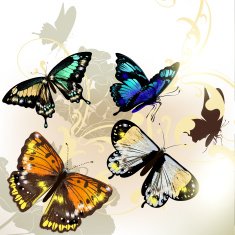 Fashion background with vector butterflies N2