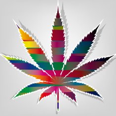 Marijuana colored leaf at abstract background Vector