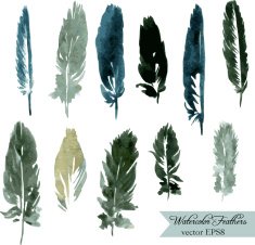 set of plumes N3