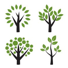 Set of vector tree with green leafs N3