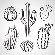 Ink style sketch set - cactus N2