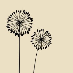 Abstract Dandalions background N8