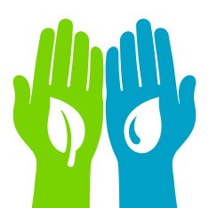 hands holding green leaf and cleen water