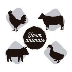 Farm Animals N67