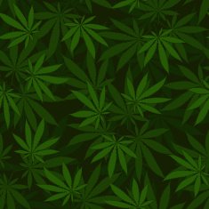 Cannabis seamless pattern N2