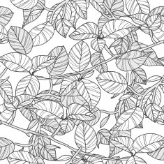 Leafs N35