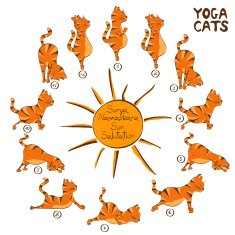 Cat doing yoga position of Surya Namaskara N2