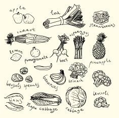 Healthy food Sketch style N2