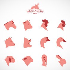 Farm Animal Icons N3