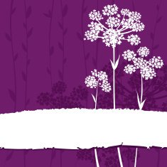 Floral background - Anise flowers