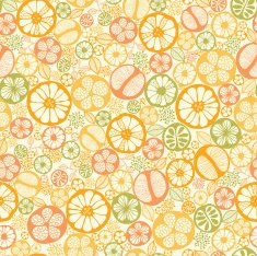 Citrus Fruit Seamless Pattern Background N2