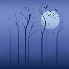 Scary Night N4