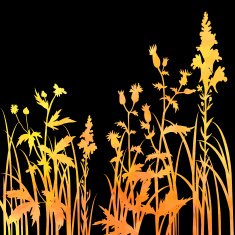 Silhouettes of flowers and grass N81