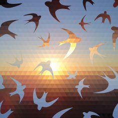 swallow silhouette on triangle sky and sun