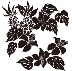 picture of Hibiscus N42