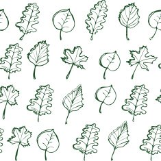 Autumn leaves pattern N18
