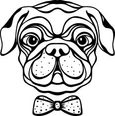 Dog with bow tie N2