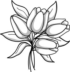 Monochrome bouquet of tulips Black white gray N2