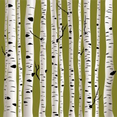 Birches in vector N4