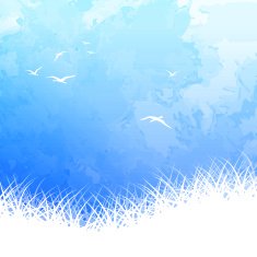 Sky Bird Silhouette Watercolor