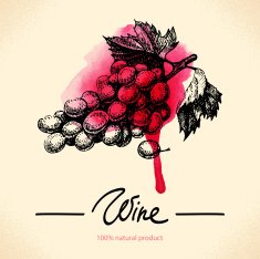 Wine vintage background N7