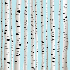 Birches in vector N5