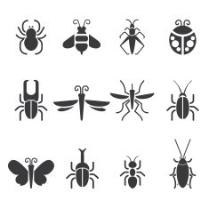Insect Silhouette icons