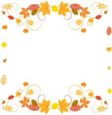 Autumn border N4