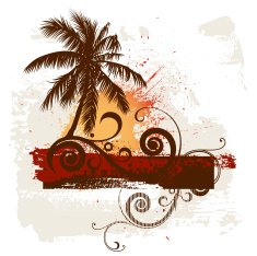 Palm and frame N2