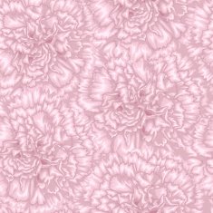 Beautiful seamless background with pink carnation N4