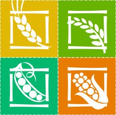 CEREAL ICON SET N2