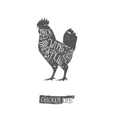 Vintage typographic chicken cuts diagram