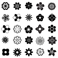 flower vector set N3