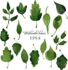 set of silhouettes by leaves in watercolor N15