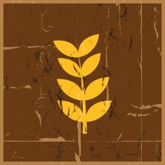 Wheat grunge