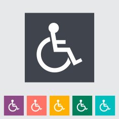 Disabled flat single icon