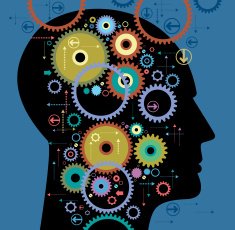 Human head with wheel N2